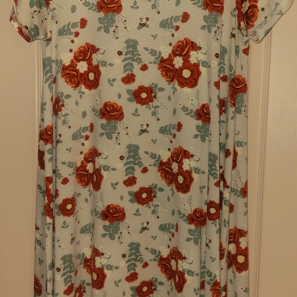 LulaRoe dress